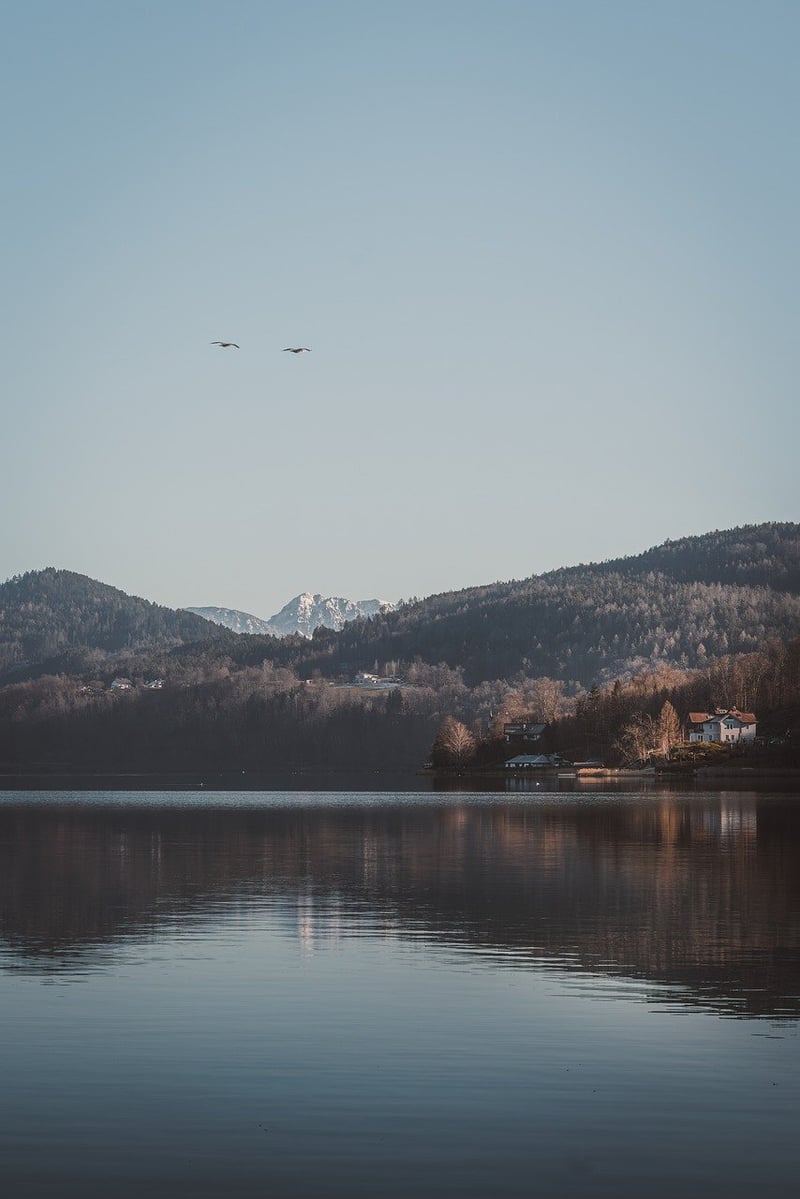Cabin Escapes